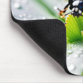 Succes lieveheersbeestje muismat (Hoek)