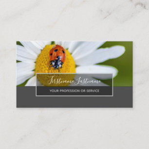 Succes met gestreepte ladybugs elegante grijze rec visitekaartje