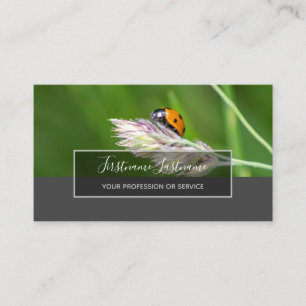 Succes met gestreepte ladybugs elegante grijze rec visitekaartje