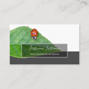 Succes met gestreepte ladybugs elegante grijze rec visitekaartje
