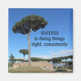 Succes Motiverend Magneet