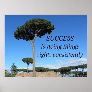 Succes Motiverende Boodschap Poster