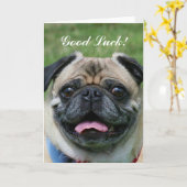 Succes Pug Dog Kaart (Gele Bloem)