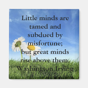 Succesofferte Magneet