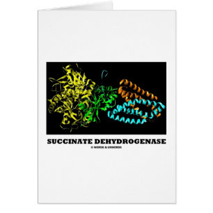 Succinaat Dehydrogenase (Chemie)