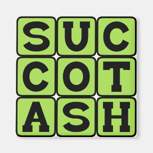 Succotash, ondraaglijke maïs- en limaboon schotel magneet
