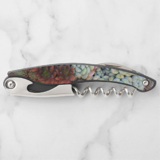 Succulen Galaxy Corkschroef Kurkentrekker