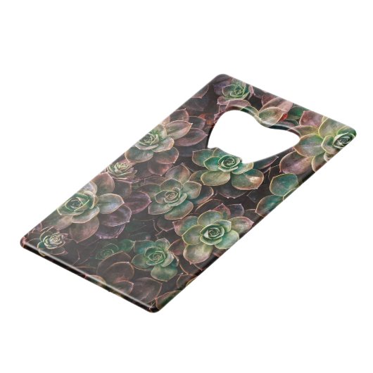 Succulent (Devant Angle)