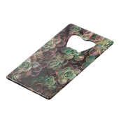 Succulent (Dos Angle)