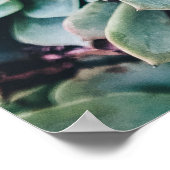Succulent 2 poster (Hoek)