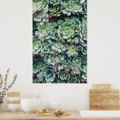 Succulent 2 poster (Keuken)
