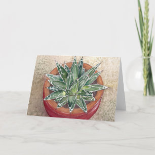 Succulent Agave victoriae-reginae Wenskaart Kaart