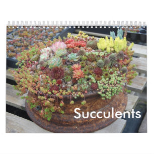 Succulent Agenda Kalender