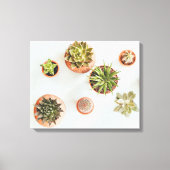 Succulent Artwork Canvas Afdruk (Voorkant)