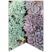 Succulent Banner (Eerste vlag)