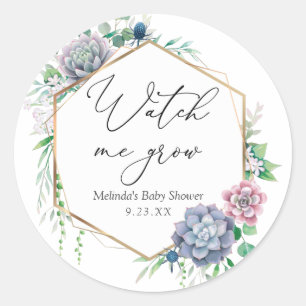 Succulent Bekijk me Plant-avor kweken Ronde Sticker