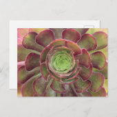 Succulent Briefkaart (Voorkant / Achterkant)