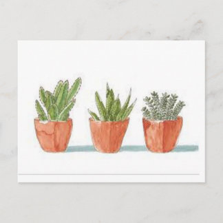 Succulent Briefkaart