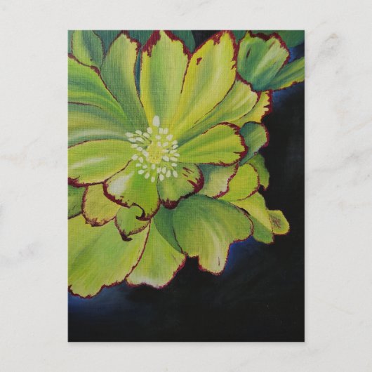 Succulent Briefkaart (Voorkant)