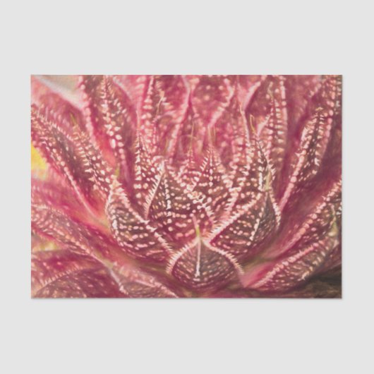Succulent Cactus Plant Red Botanical Decoupage Tissuepapier (Voorkant)