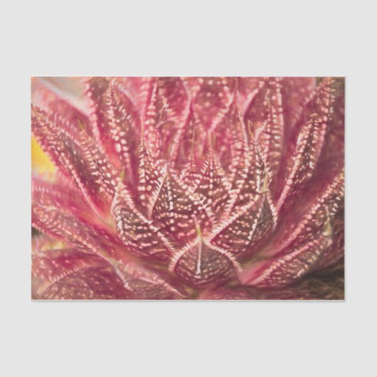 Succulent Cactus Plant Red Botanical Decoupage Tissuepapier (Voorkant)