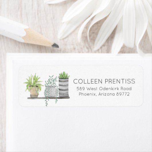 Succulent Cactus Return Address Labels (Insitu)