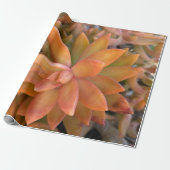 succulent cadeaupapier (Uitgerold)