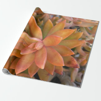 succulent cadeaupapier