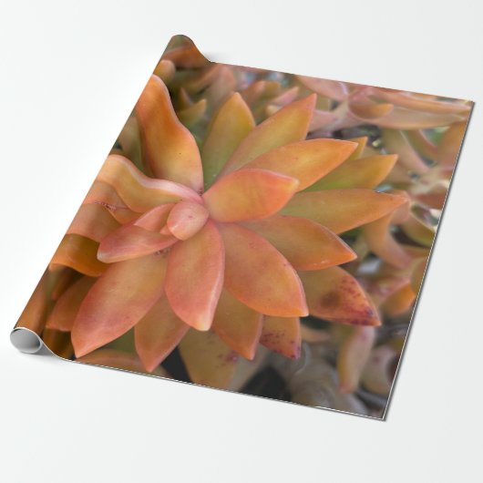 succulent cadeaupapier (Uitgerold)