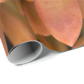 succulent cadeaupapier (Rol Hoek)