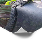 Succulent Car Poster Print (Hoek)