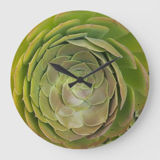 Succulent Clock Grote Klok