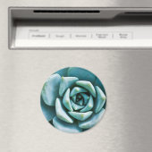 Succulent Closeup Magneet (Insitu (Vaatwasser))
