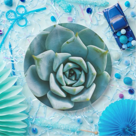 Succulent Closeup Papieren Bordje (Feest)