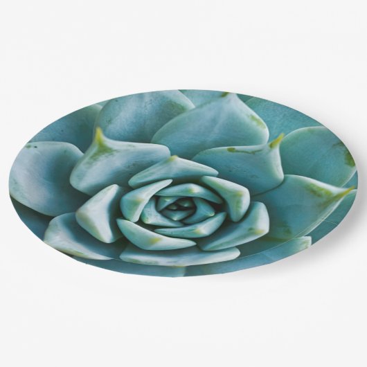 Succulent Closeup Papieren Bordje (Gekanteld)