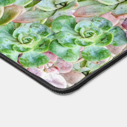 Succulent coloré (Coin)