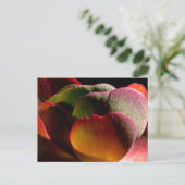 Succulent Desert Plant Briefkaart (Staand voorkant)