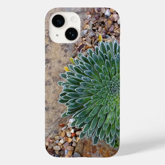 Succulent Desert plant Case-Mate iPhone Case (Achterkant)