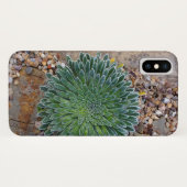 Succulent Desert plant Case-Mate iPhone Case (Achterkant (horizontaal))