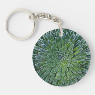 Succulent Desert plant Sleutelhanger
