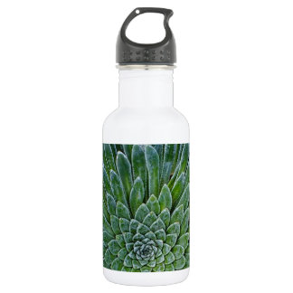 Succulent Desert plant Waterfles