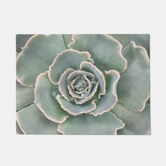 Succulent Deurmat (Voorkant)