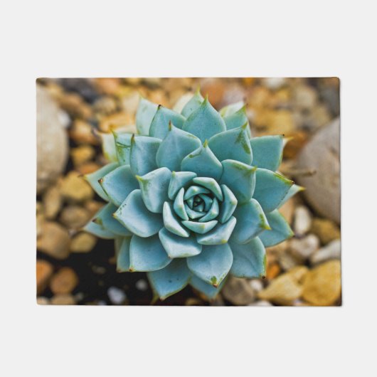 Succulent Deurmat (Voorkant)