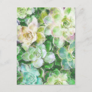 Succulent Garden door Cindy Bendel Briefkaart