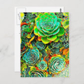 Succulent Garden Pop Art Briefkaart (Voorkant / Achterkant)
