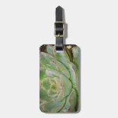 Succulent, Hen en Chicken Bagagelabel (Voorkant verticaal)