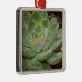 Succulent, Hen en Chicken Metalen Ornament (Rechts)