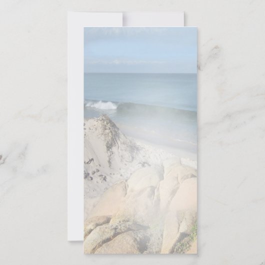 Succulent Hues of Bleek Blues (Achterkant)