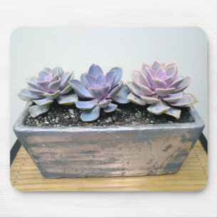 Succulent in zilver muismat