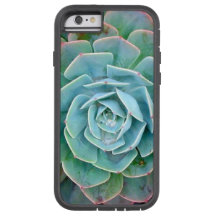 Succulent iPhone Case